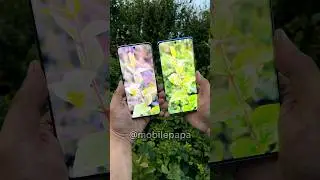 Oneplus 12R Vs Realme 12 pro Portrait Test 🤜📷🤛 