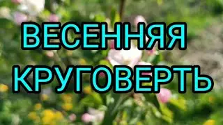 Весенняя круговерть.Забор монтируем сами ,часть 3.Ковер моем бензокосой.6.05.24.