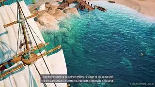 Part 5 - The Settlers New Allies | Suka Suki Stream