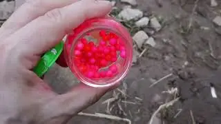 Рыбалка на реке Ахтуба.