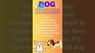 DOG-EARED | Learn Dog Idioms #learnenglish #english #shortsvideo #idioms #shorts