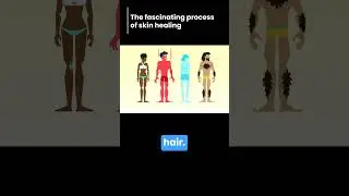 the fascinating process of skin healing #shorts