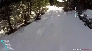 Tjukkas i Vestmarka