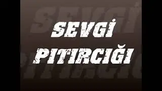 SEVGİ PITIRCIĞI