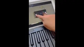 Learn all of your favourite songs with LUMI Keys 🎶