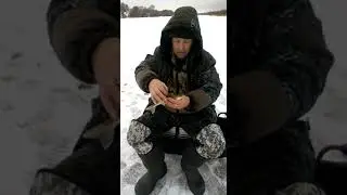 Отдых в Подмосковье. Зимняя рыбалка.