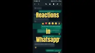 How to add reactions to WhatsApp messages
