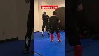 Sparring Day 