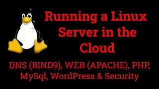 Hands-On Project: Configuring a Linux Server from Scratch (VPS, DNS, WEB, PHP, MySql, WordPress)