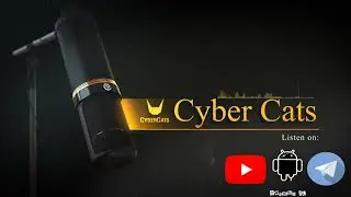 פודקאסט סייבר אבטחת מידע שבועי - Cyber Cats
