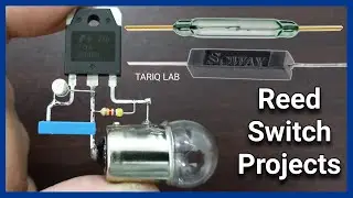 How Does a Reed Switch Works | Magnetic Sensor | Reed Relay