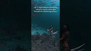 Would you explore this underwater beauty in SIQUIJOR ISLAND #shorts #freediving #philippines