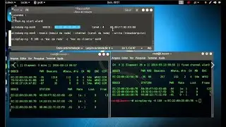 Kali Linux Начальный курс от А до Я часть 3