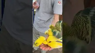 육아 순식간에 사라지는 마법
