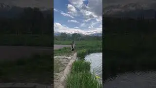 Ботанический сад в Алматы 🤍