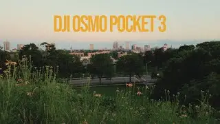 Afternoon Walk - DJI Osmo Pocket 3