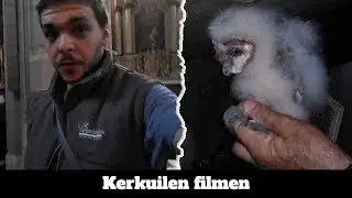 Arne Fotografeert ( Seizoen 3 afl 2 ) Kerkuilen filmen