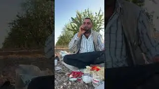 Gülçinin Dünyası