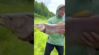 Берите на заметку 👌
