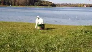 IMG 2014 10 03 9999 3