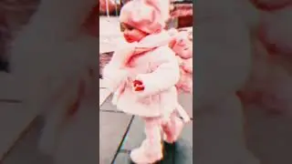 adhuvea padaikum..... || Tamil song || feel good song || Rose edits.