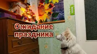 ОЖИДАНИЕ ПРАЗДНИКА