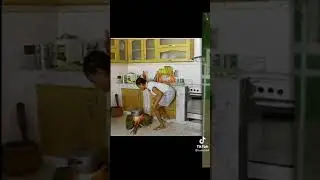 fotos graciosas