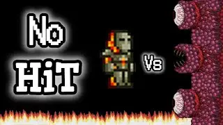 Mato al Muro de Carne 🍖 sin recibir Daño | Terraria 🌳