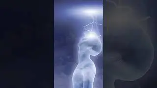 Лимфа и душа ♻️  