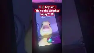 🗣📱 hey siri, “How’s the weather today?” 🌧️