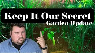 Unexpected Garden Transformation: April 2024 Update