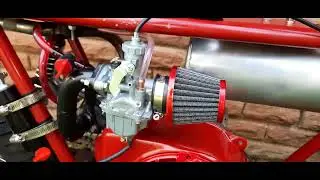 rupp continental custom build 212cc predator