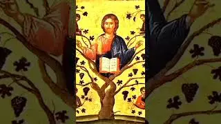 Священное Писание это книга для внутрицерковного употребления