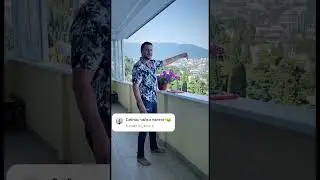 Сейчас чайки налетят