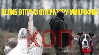 ДОЛГОЖДАННЫЙ КОП