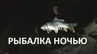 Ночная рыбалка. Видео отчёт о ночной рыбалке на сома и карпа.
