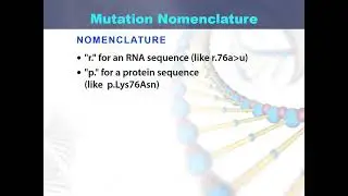 Mutation Nomenclature