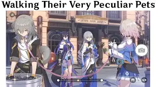 HONKAI STAR RAIL MEMES 