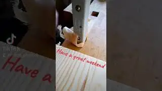 Keep your dogs under control / woodworking