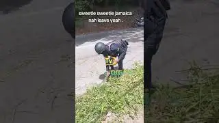 Police in Jamaica weeding  roadside bush