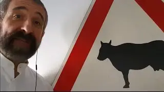 quale regime per iniziare come fotografo professionista?