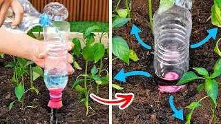 ПОЛИВАЙТЕ РАСТЕНИЯ КАК ПРОФИ: ГЕНИАЛЬНЫЕ САДОВЫЕ ЛАЙФХАКИ, КОТОРЫЕ ВАМ НУЖНО ПОПРОБОВАТЬ! 🌱💧