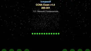 Cisco CCNA: What command uses icmp to confirm a node is up? - icmpwolf
