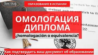 Как омологировать диплом или аттестат в Испании?