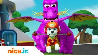 PAW Patrol | Die PAW Patrol-Welpen retten einen Drachen! 🐲  | Nick Jr. Deutschland