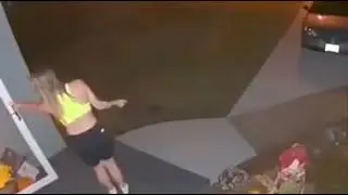 Taking the dog out for a walk...
