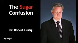 Highlights | The Sugar Confusion  - Dr  Robert Lustig
