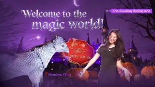 Welcome to the Magic World: Harry Potter Forbidden Forest Experience