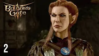 The Serpent in the Grove  || Baldur's Gate 3 #2
