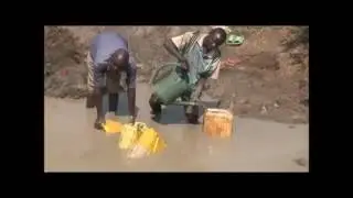 fiji water - 